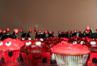 DSC_0421-Edit