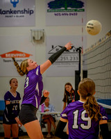 Z62_5481-Edit.jpg