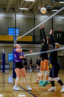 Z62_6292-Edit.jpg
