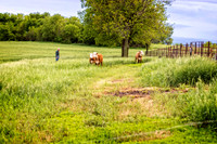_7202849-Edit.jpg