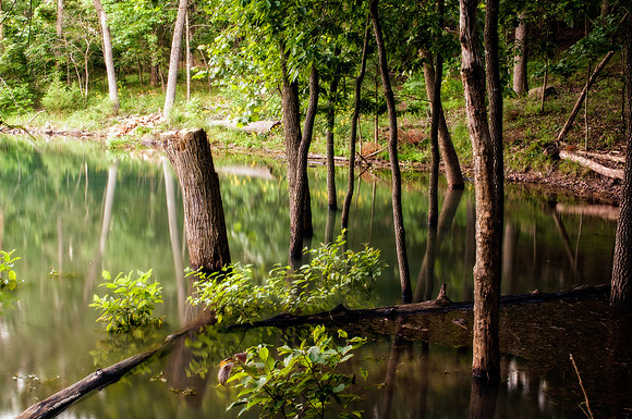 _DSC7974-Edit.jpg
