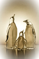 01,SE084,DA,Three's_Company.jpg