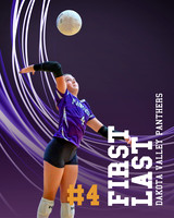 Sports Poster - 4.jpg