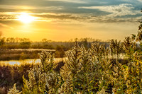 DSC_0094_HDR-Edit