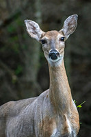 _7202357-Edit-Edit.jpg