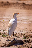 _7204628-Edit.jpg