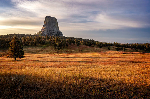 Z62_7285-HDR-Edit.jpg