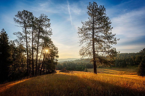 Z62_7294-HDR-Edit.jpg