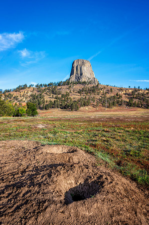 Z62_7339-Edit.jpg