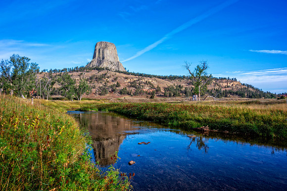 Z62_7371-Edit-2.jpg