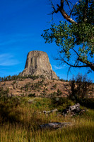 Z62_7429-Edit.jpg