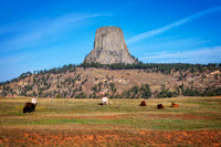 Z62_7524-Edit.jpg