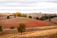 DSC_4032-Edit
