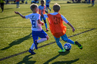 Z62_9048-Edit.jpg