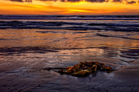 _7206662-HDR-Edit.jpg
