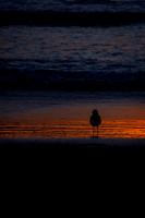 _7206631-Edit.jpg