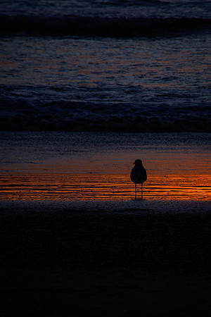 _7206631-Edit.jpg
