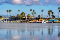 _7206551-Edit.jpg