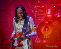 Saturday in the Park 2023