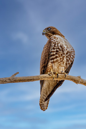_7206273-Edit-Edit.jpg