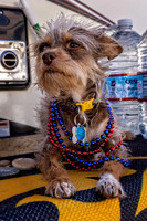_7207749-Edit.jpg