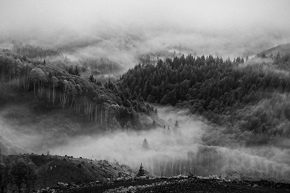 02,SE084,DB,Foggy_Valley.jpg