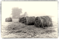 Foggy Bales-Edit.jpg
