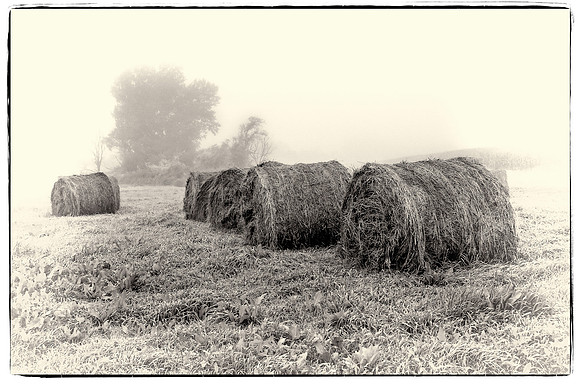 Foggy Bales-Edit.jpg