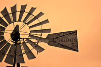 Pheasants Forever Youth Mentor Hunt 2012