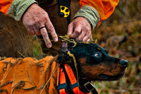 Pheasants Forever Youth Mentor Hunt 2012