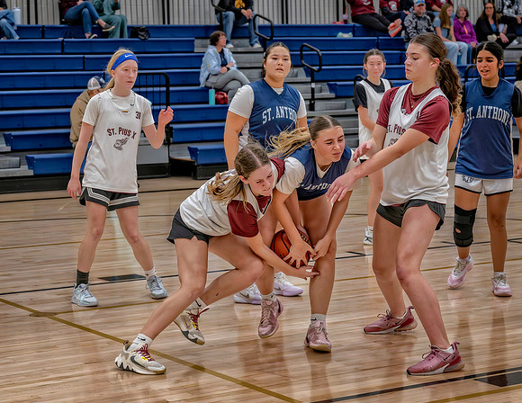 Z62_2839-Edit.jpg