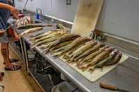 _7203849-Edit.jpg