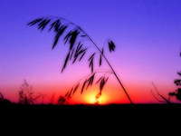 IMG_2187 Orton Effect