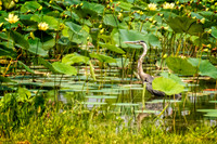 _DSC6255-Edit.jpg