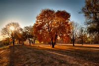 DSC_5659_HDR