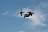 Z62_4608.jpg