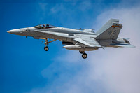 Z62_4645-Edit-Edit.jpg