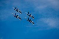Z62_5126-Edit.jpg
