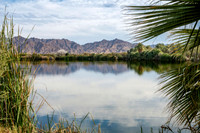 Z62_3698-Edit.jpg