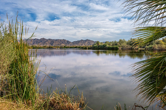 Z62_3717-HDR-Edit.jpg