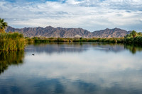Z62_3703-Edit.jpg