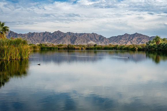 Z62_3703-Edit.jpg