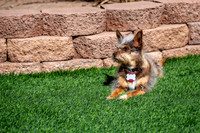 Z62_4180-Edit.jpg
