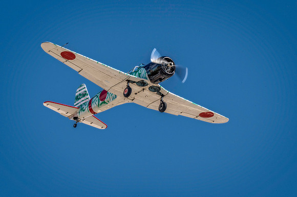 Z62_4819-Edit.jpg