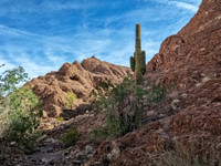 GOPR4775-Edit.jpg