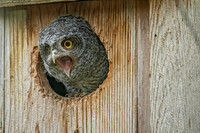 _7206712-Edit.jpg