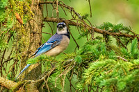 _7206590-Edit.jpg