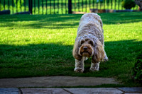 Z62_7428-Edit.jpg