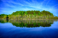 Z62_7833-Edit.jpg