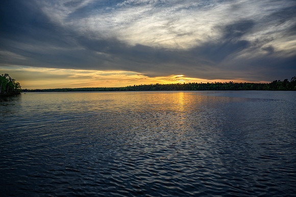 Z62_7814-Edit.jpg